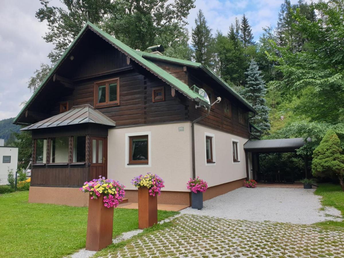 Freeride-Living Villa Annaberg im Lammertal Ngoại thất bức ảnh